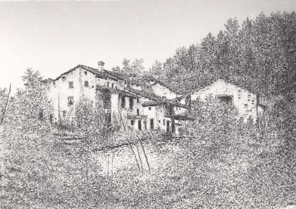 Contrada